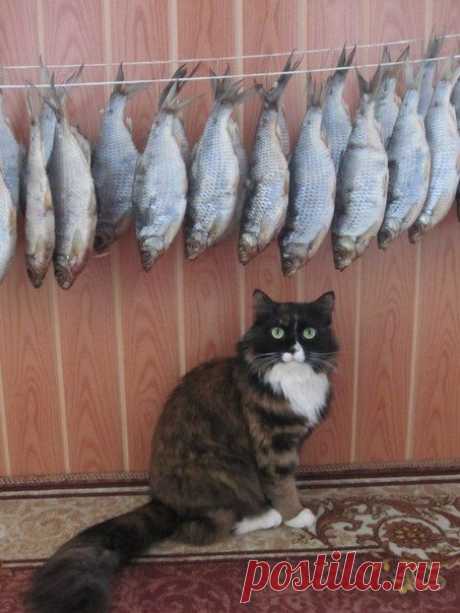 хх