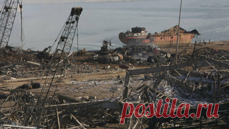 Что такое аммиачная селитра, почему она взорвалась в Бейруте и стóит ли хранить её в гараже? | Science &amp; Future | Яндекс Дзен