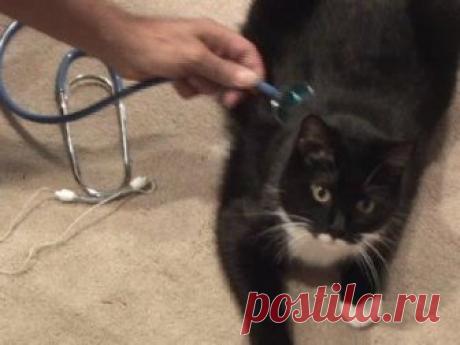 Электронное подслушивающее устройство