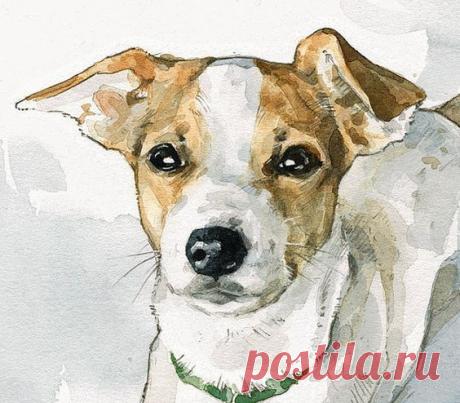Custom Dog Portrait 8x10 watercolor painting