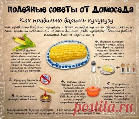Хозяйке на заметку-3 (24 фото) - ЛоЛс.ру - Позитивный такой смешарик! :-))