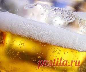 Пиво для кожи и волос: лучшие рекомендации - health info