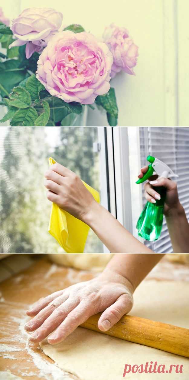 13 необычных применений обычной водки | MixStuff