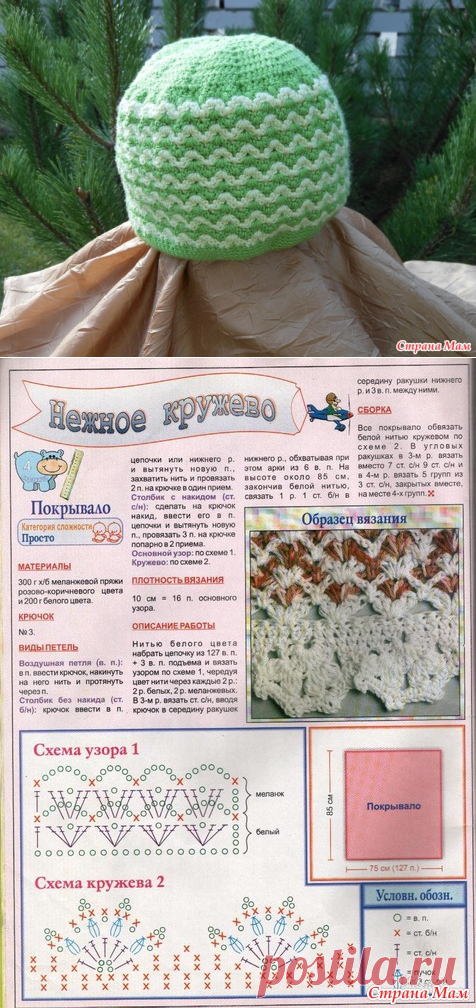 Шапочка