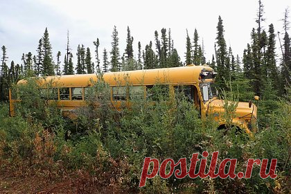 В школьном автобусе нашли 23 килограмма динамита
