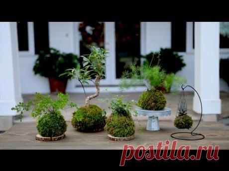 Как сделать кокедаму своими руками: мастер-класс