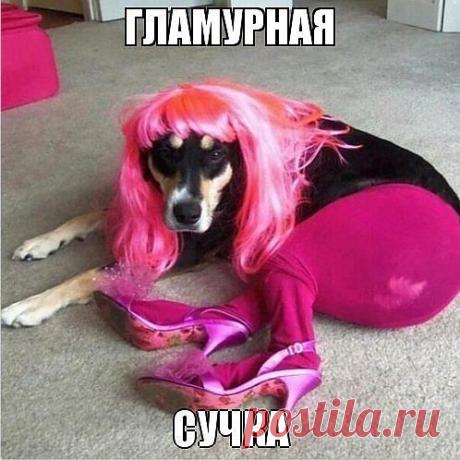 Мой Мир@Mail.Ru