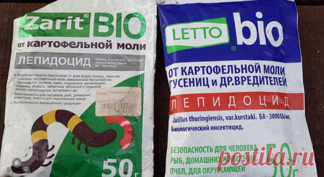 Триходерма и Фитоспорин заработают, если их правильно разбудить Способы активации биопрепаратов | С грядки - к столу | Дзен