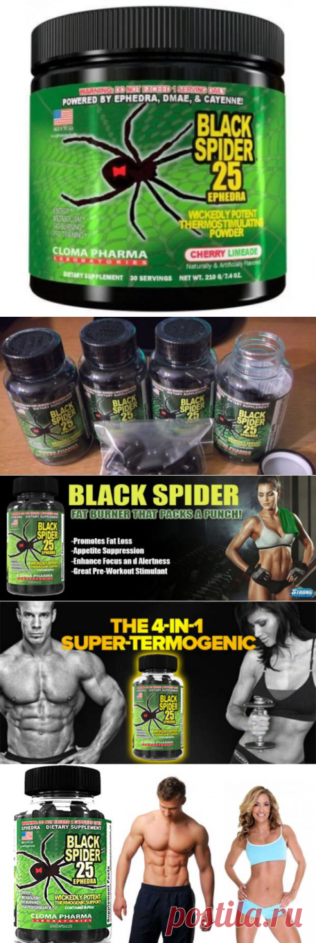 Жиросжигатель BLACK SPIDER: инструкция по применению таблеток