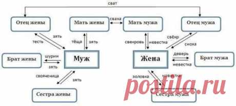 Как не запутаться в родственниках
У Вас дружная и многочисленная семья? Никак не можете запомнить, кем Вам приходятся все Ваши родственники? Мы поможем разобраться!
1) Родители супругов
Свёкор — отец мужа.
Свекровь — мать мужа.
Тесть — отец жены.
Тёща — мать жены.
Сват — отец одного из супругов по отношению к родителям другого супруга.
Сватья (сваха) — мать одного из супругов по отношению к родителям другого супруга.
2) Братья и сёстры супругов
Деверь — брат мужа.
Золовка ...