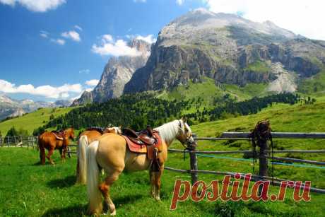 Panoramio - Photos of the World