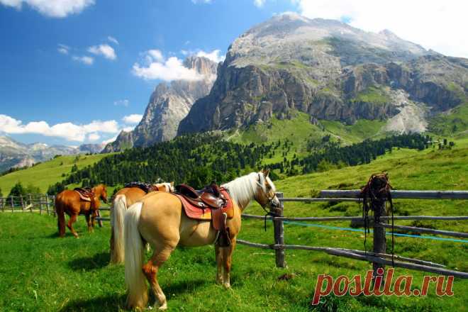 Panoramio - Photos of the World