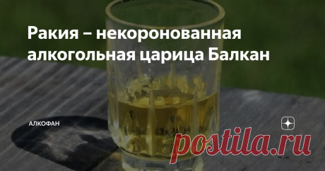Ракия – некоронованная алкогольная царица Балкан Если коньяк и виски – это короли алкоголя, то ракия – царица.  Забавно, что при невероятной популярности этого спиртного напитка среди  южнославянских народов, за пределами Балканского полуострова он  малоизвестен: есть что-то похожее на ракию в Турции и на Кипре, но и  вкус, и технология производства, и культура употребления совсем другие.
Нередко  туристы, приезжающие с популярных курортов,