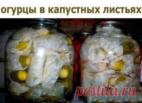 Одноклассники