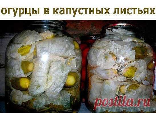 Одноклассники