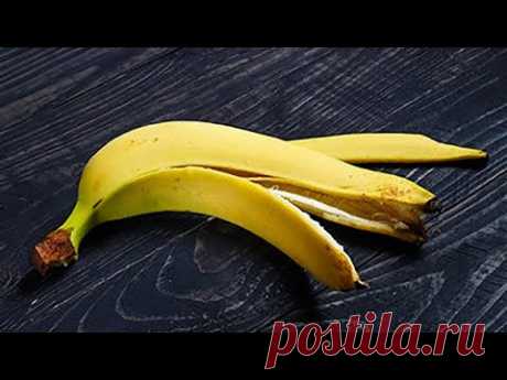 12 продуктов, которые ВЫ ВЫБРАСЫВАЕТЕ, а зря! Вот что из них можно сделать!