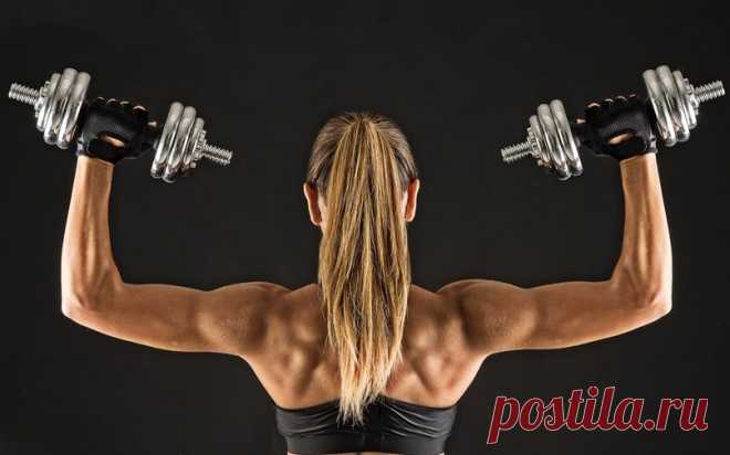Упражнения с гантелями в домашних условиях | Журнал 