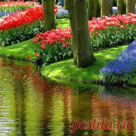 Организация путешествий. Групповые и индивидуальные туры от лучших туроператоров страны. Бесплатный подбор тура и консультация.