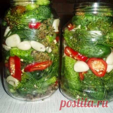 Огурчики консервированные