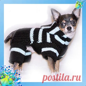 Вязанный комбинезон для собаки. Схема вязания 5