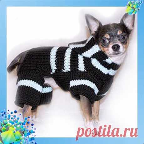 Вязанный комбинезон для собаки. Схема вязания 5