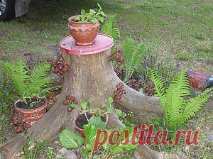 Примените пни деревьев в украшении ландшафта. Фото | Дача - впрок