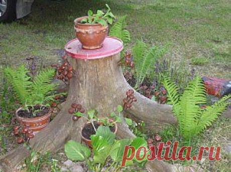 Примените пни деревьев в украшении ландшафта. Фото | Дача - впрок