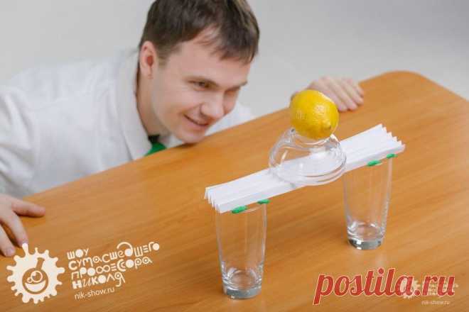 Бумажный мост — Шоу сумасшедшего профессора Николя