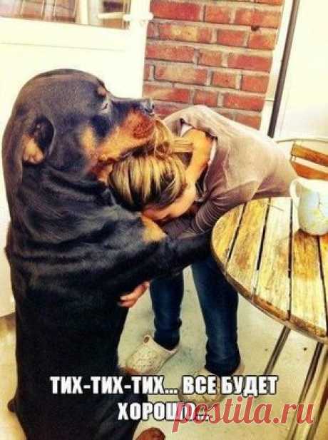 Обхохочешься