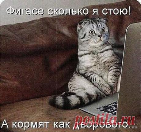 (4) Facebook