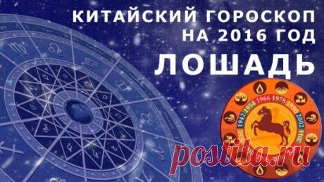 (7) Одноклассники