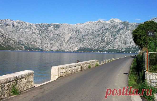 Tivat