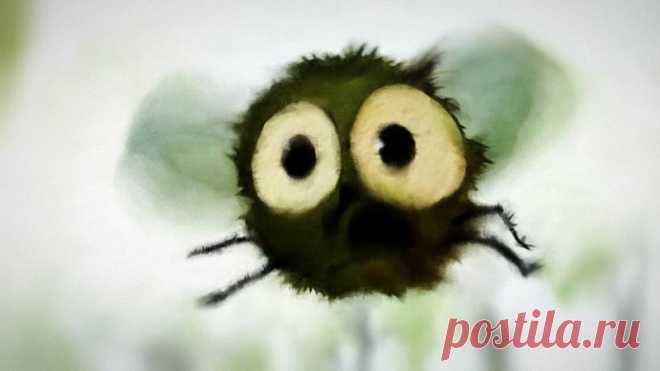 Вы назойливы как муха, мадам armonarmekia