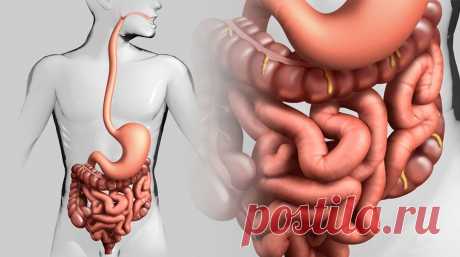 Как естественным образом вылечить кишечник Есть много особенностей современного образа жизни, которые нарушают кишечный микробиом. Воздействие этих вредных факторов широко распространено в нашем обществе. Стандартная современная диета,