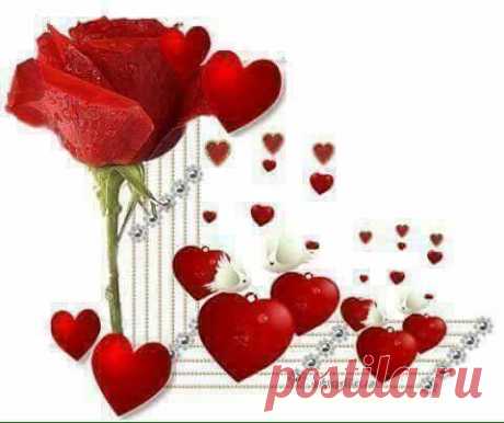 Ապրել այսօր՝ վաղվա սպասումով...❣️
❤...Մեր այսօրը թողած , փորձում ենք վաղն նորոգ կազմակերպել… որ վաղը ապրենք, բայց կարծես նույնն ենք...Դժվար է ապրել, երբ մարդիկ քո գլխում ավելի շատ են, քան՝ կողքիդ…սակայն,միեւնույն է, պետք է ապրել...ու ապրել այնպես, որ մարդու աչքերում կյանք լինի, սրտում` սեր, մտքում` խաղաղություն, իսկ հոգում` թևեր…❤