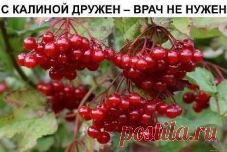 Интересные новости