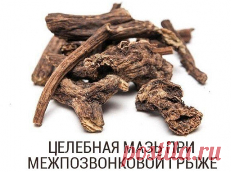 АЛЕКСЕЙ МАМАТОВ. НАРОДНОЕ ЛЕЧЕНИЕ МЕЖПОЗВОНОЧНОЙ ГРЫЖИ - Жизнь планеты