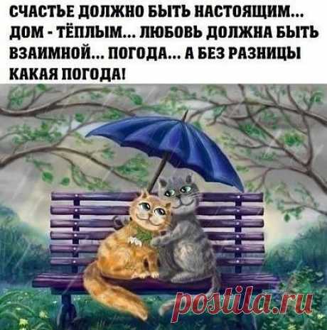 «(13) Одноклассники» — карточка пользователя Людмила И. в Яндекс.Коллекциях