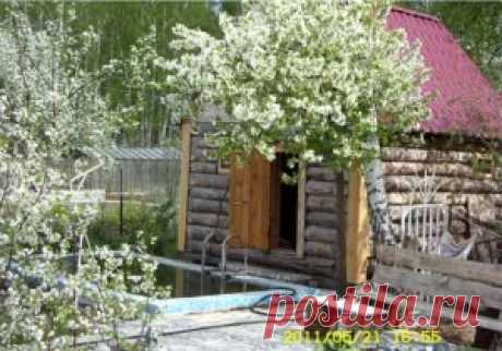 Как сделать бассейн на даче. Для того, чтобы не было перерасхода раствора при выравнивании стенок бассейна, лучше сразу при копании котлована хорошенько выравнивать все четыре стены и дно котлована.