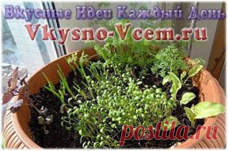 Салаты для сердца/ Сочетание полезных для сердца витаминов и минералов обнаружено в листьях мангольда и рукколы. «Салатная» кулинарная новость важна не только для людей с заболеваниями сердца. Поддерживать себя полезным миксом витаминов нужно всем, особенно в зимний период.