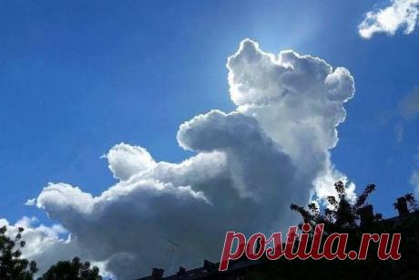 42836433_260327971288474_6881974343471988736_n.jpg (Изображение JPEG, 640 × 427 пикселов)