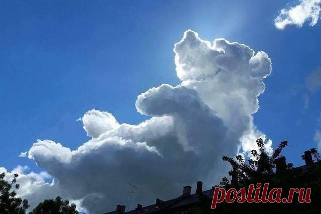 42836433_260327971288474_6881974343471988736_n.jpg (Изображение JPEG, 640 × 427 пикселов)