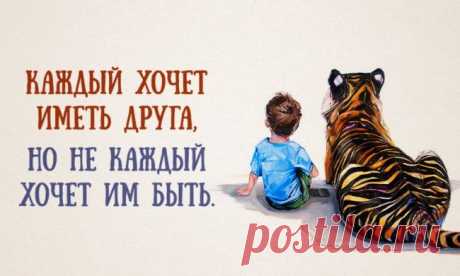 «Каждый хочет иметь друга, но не каждый хочет им быть»