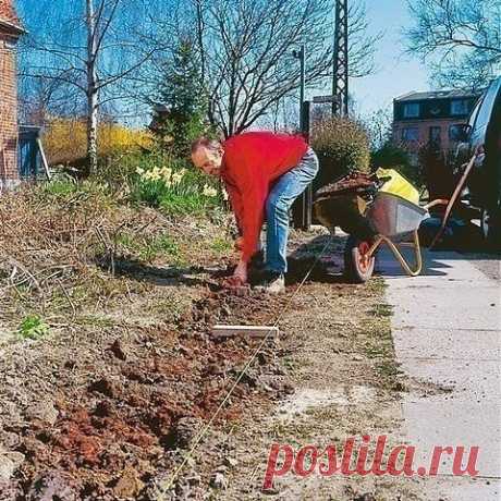 20 растений, из которых лучше всего делать живые изгороди:

1. Сирень обыкновенная. Отлично поддается стрижке, но осуществлять её можно только через год и после отцветания.

2. Шиповники (ржавчинный, коричный, обыкновенный и др.). Растут в любой почве.

3. Орешник, или лещина. Не любит тень, но растет в любой почве.

4. Чубушник. Красивые кустарники с ароматными цветами. Отлично поддаются стрижке.

5. Бирючина. Дает невысокие бордюры и изгороди, хорошо поддается стрижке. З...
