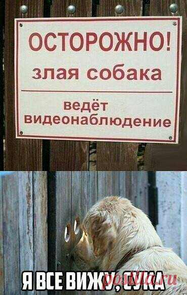 БРРРРР!!!!