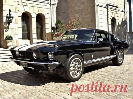 Shelby GT500 / Только машины