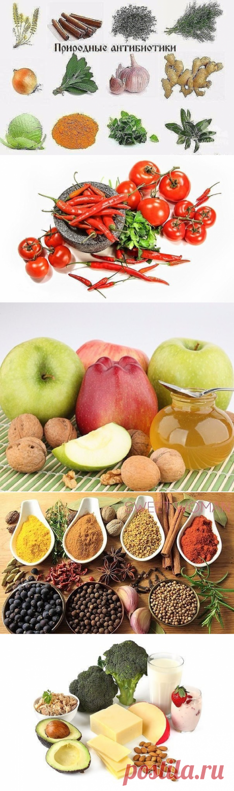 25 ЗДОРОВЫХ советов: