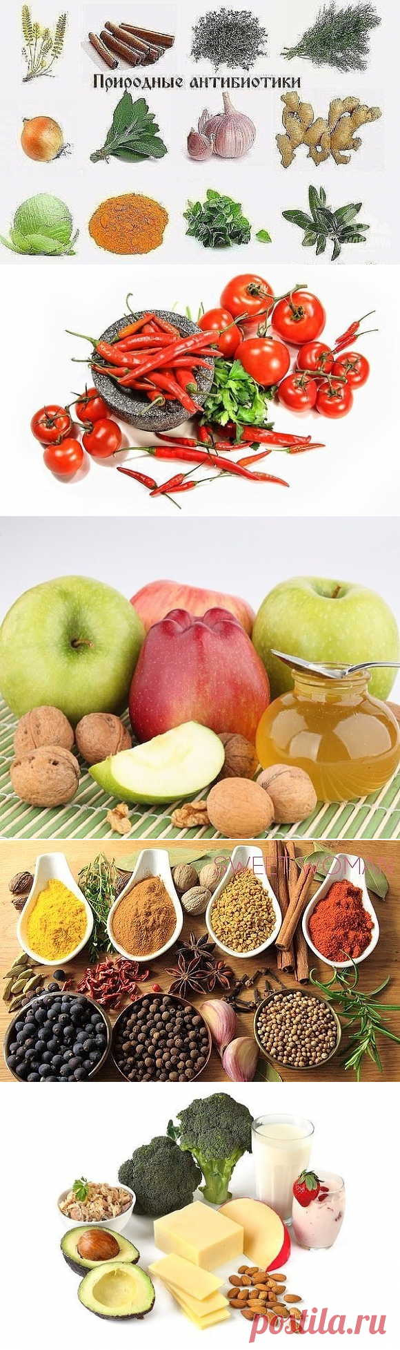 25 ЗДОРОВЫХ советов: