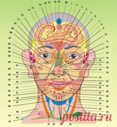 Наши болезни написаны у нас на лице