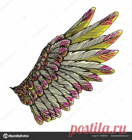 Vintage asa colorida de desenho Asa de águia único colorido pássaro ou anjo. Asa de estilo vintage de xilogravura gravado colorido. Conceito de projeto do tatuagem totem Africano, indiano para a arte do corpo. Vector